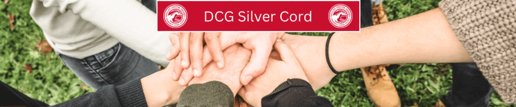 DCG Silver Cord