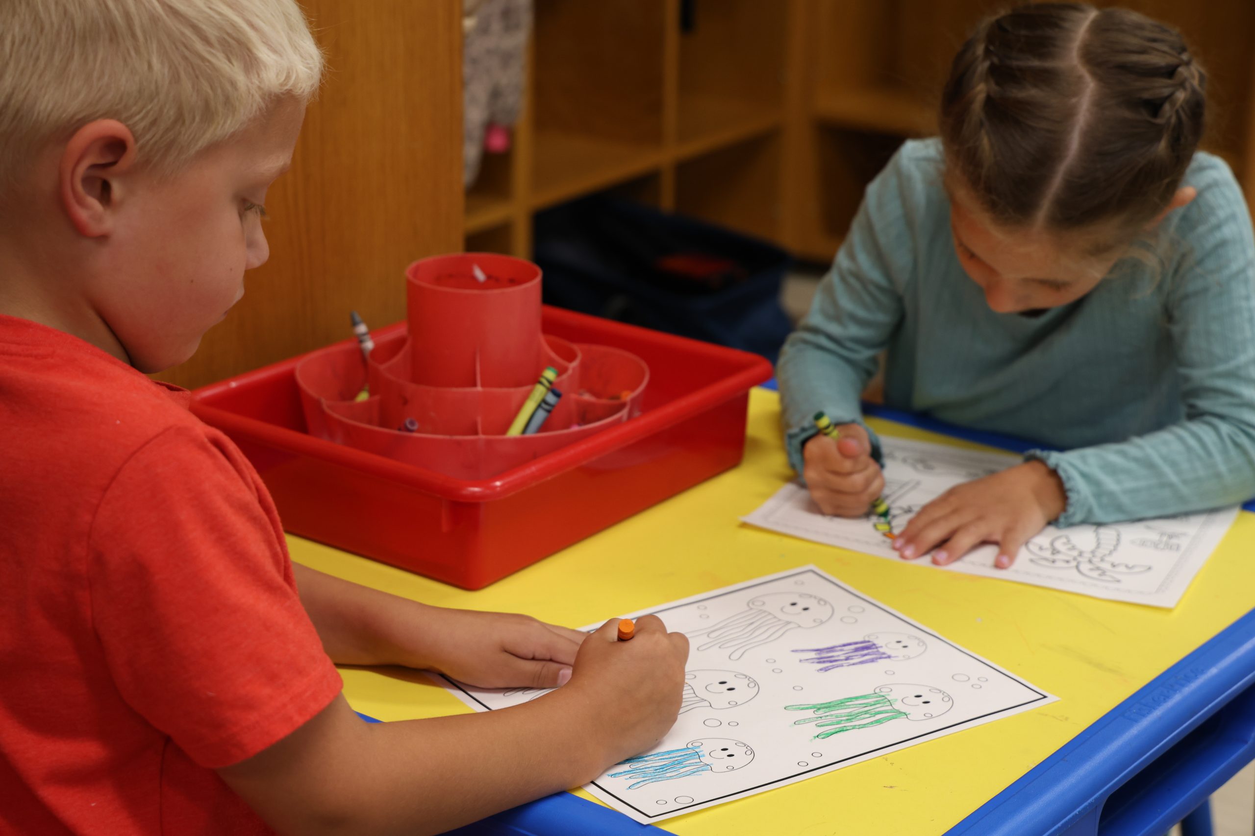 Transitional Kindergarten