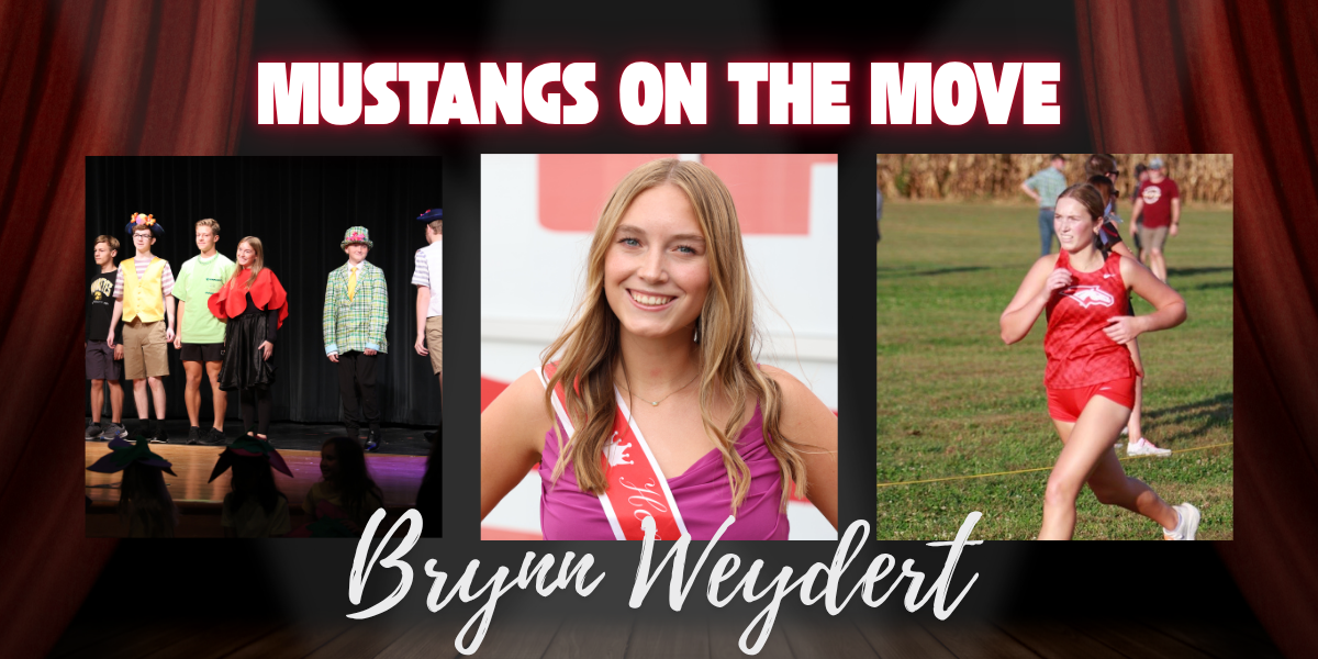 Brynn Weydert Cover