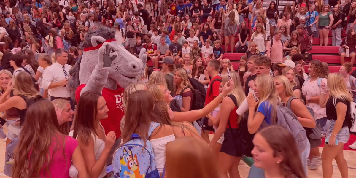 A photo after the DCG HS Assembly