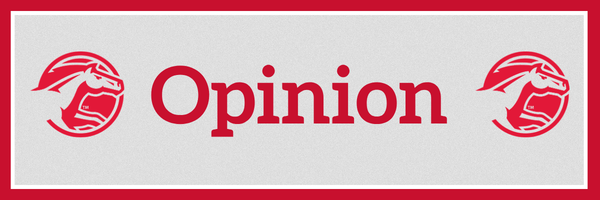 DCG Opinion page break 