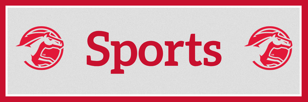 DCG Sports Page Break