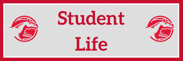 DCG Student Life Page Break